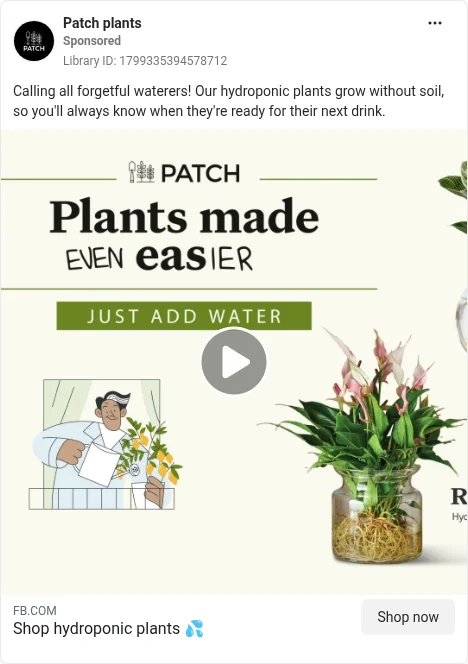 Based on Ad Library ID 1799335394578712 — Patch plants care / accessibility demo (left-column crop).